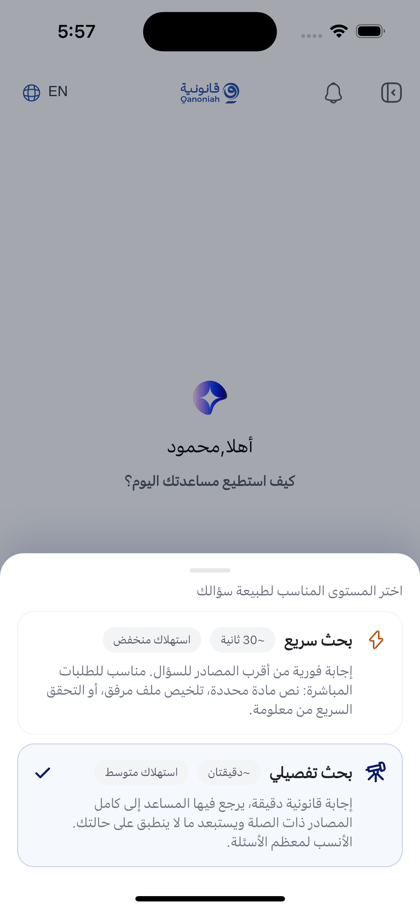 البحث التفصيلي