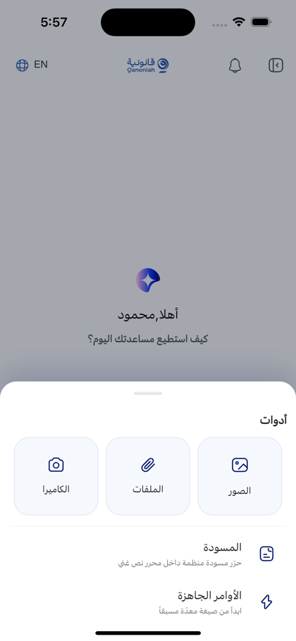 التصوير بالكاميرا وأدوات الإدخال
